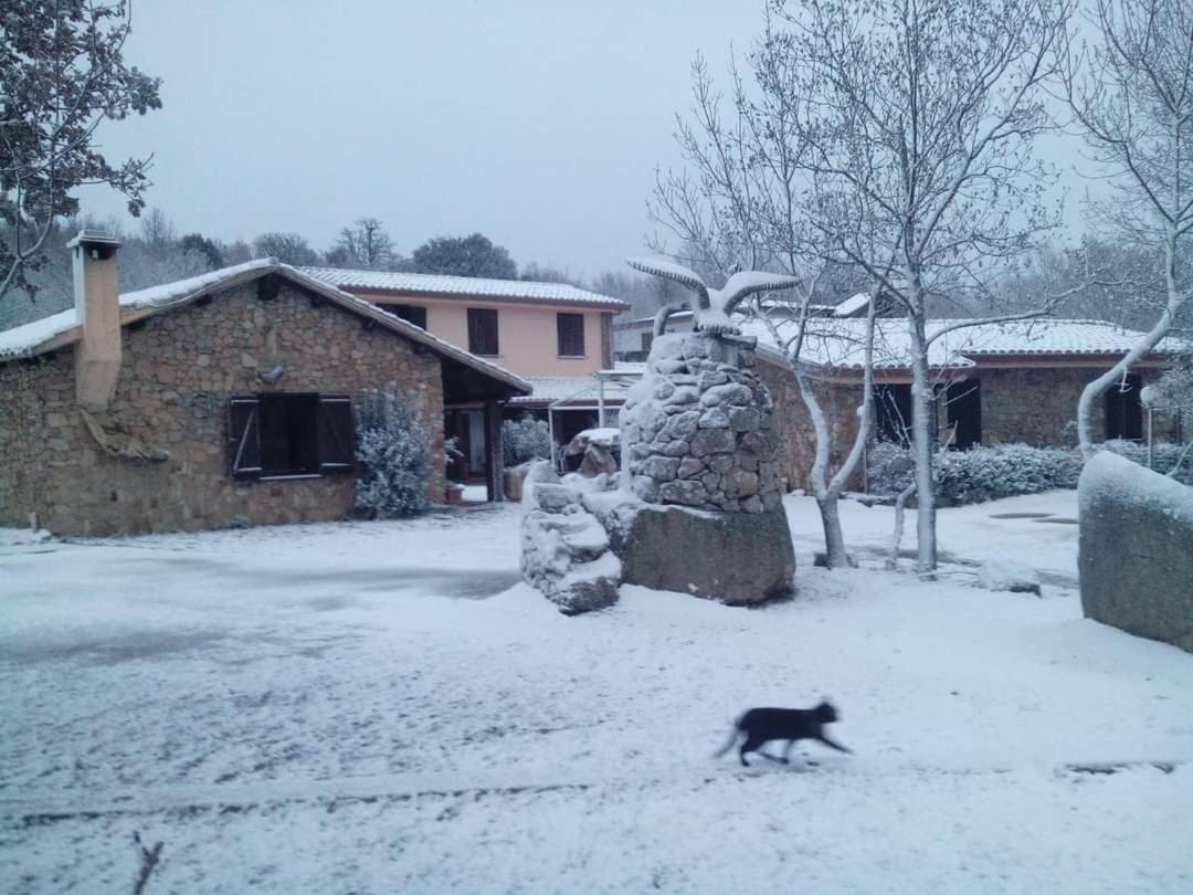Hotel Il Nido Dell'Aquila Villanova Strisaili Exterior photo